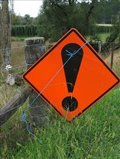 Jeb!  Found him!!: by cindya, Views[360]