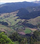 near Motueka: by cindya, Views[262]