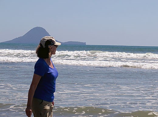 Whale island in  backgroind