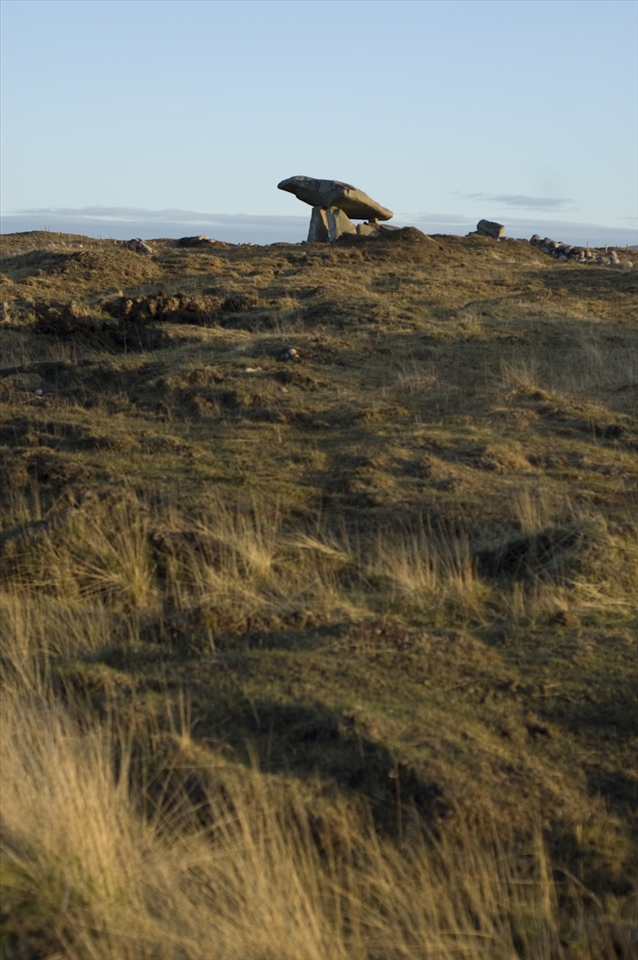 Prehistoric relics are not a rare sight amidst common farm fields