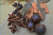 The Spices : Cinnamon, Cloves, Nutmeg, Star Anise: by cinnamon_reaper, Views[218]