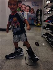 by cintra_ahearn, Views[162]