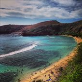 by cintra_ahearn, Views[217]