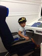 by cintra_ahearn, Views[187]