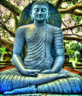 by ciotolapiena, Views[773]