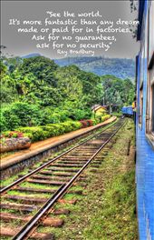 by ciotolapiena, Views[806]