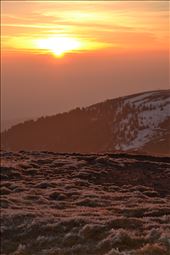 by ciotolapiena, Views[135]