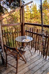 by ciotolapiena, Views[250]