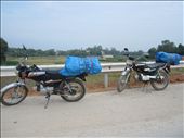 Two Honda Wins 100cc: by citsym, Views[849]