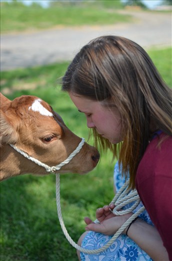 My wife, Anna, with a young Guernsey calf, Nova. 