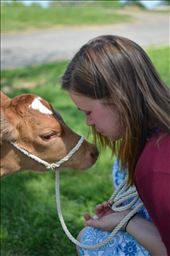 My wife, Anna, with a young Guernsey calf, Nova. : by cityboyturned, Views[277]