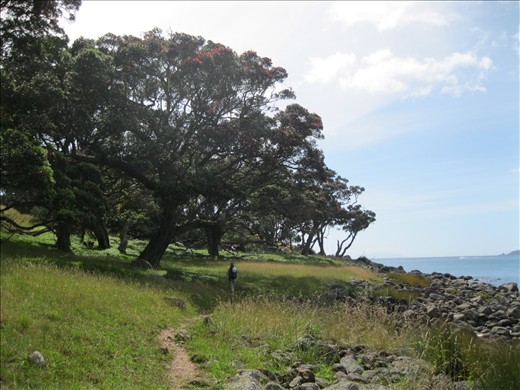 does not look real here