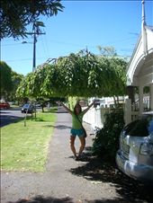 by cjfkhj, Views[154]