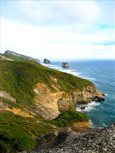West Coast of the South Island in the fall