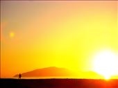 Sunset with Kapiti Island in the background: by cjfkhj, Views[343]