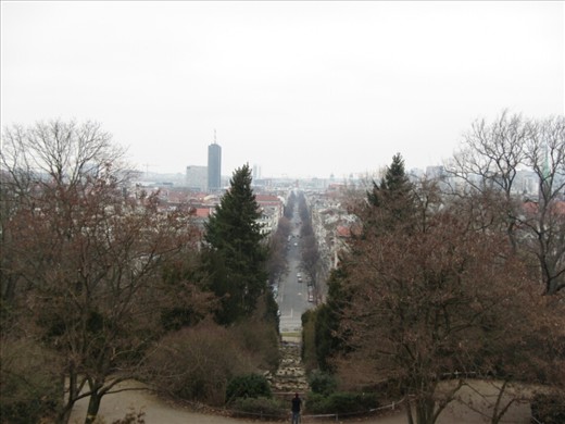 View from Viktoria Park