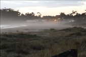 by cking, Views[184]