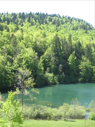 Lac de Chalain