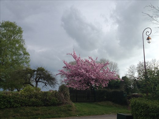 Normandie Springtime!