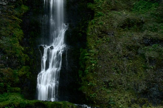 One Stream in a Land of Hundreds 