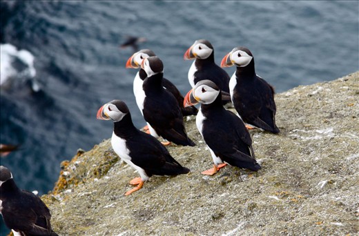 The Sad Man of the Sea 