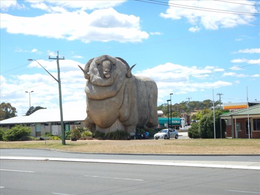 The Big Merino -15.2m tall concrete merino ram - Location Goulburn NSW