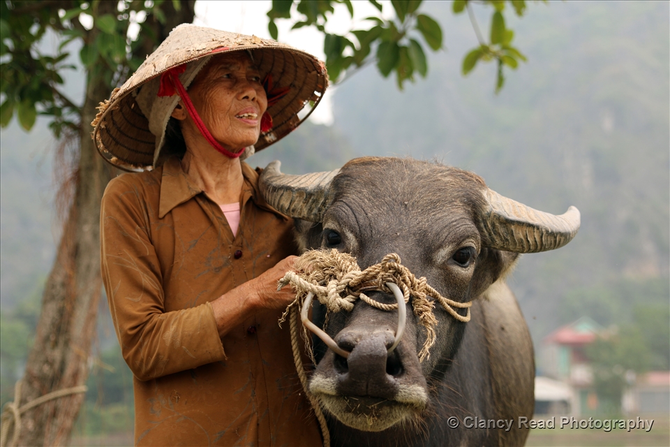 I met this lady after taking photos of her Water buffalo