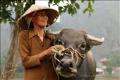 I met this lady after taking photos of her Water buffalo: by clancy-read, Views[222]