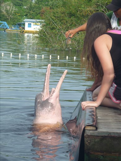 My friend with a boto dolphin.