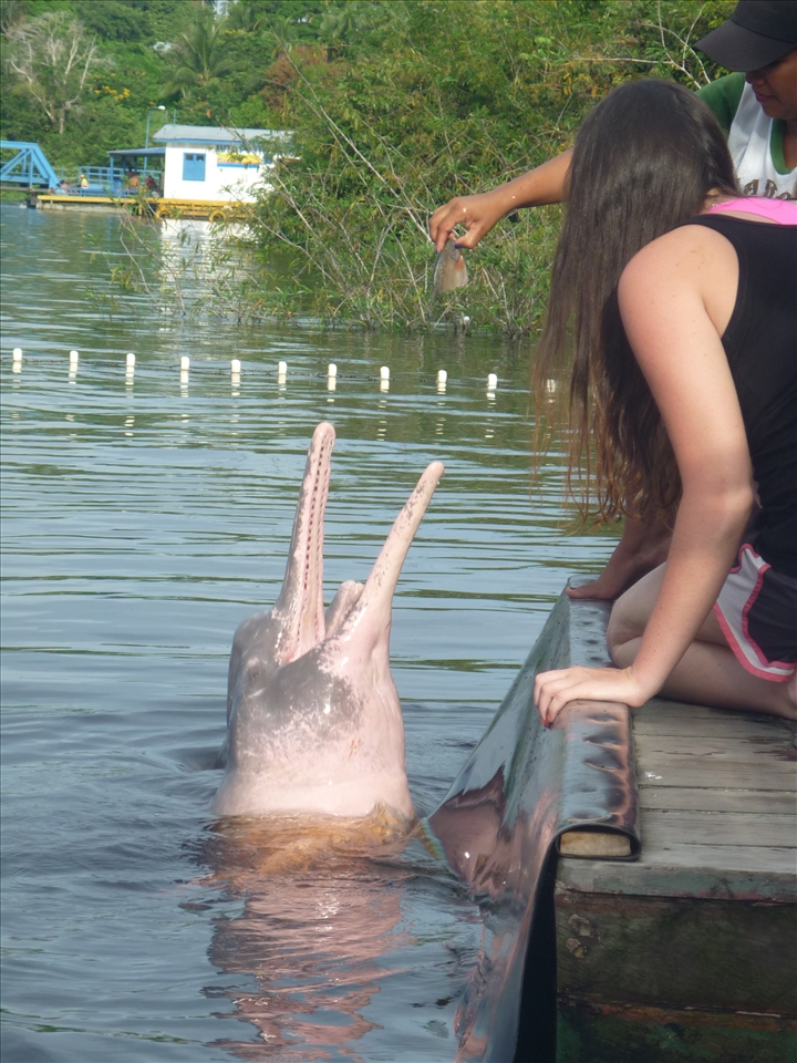 My friend with a boto dolphin.