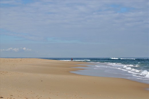 I'm only a very small piece of this puzzle