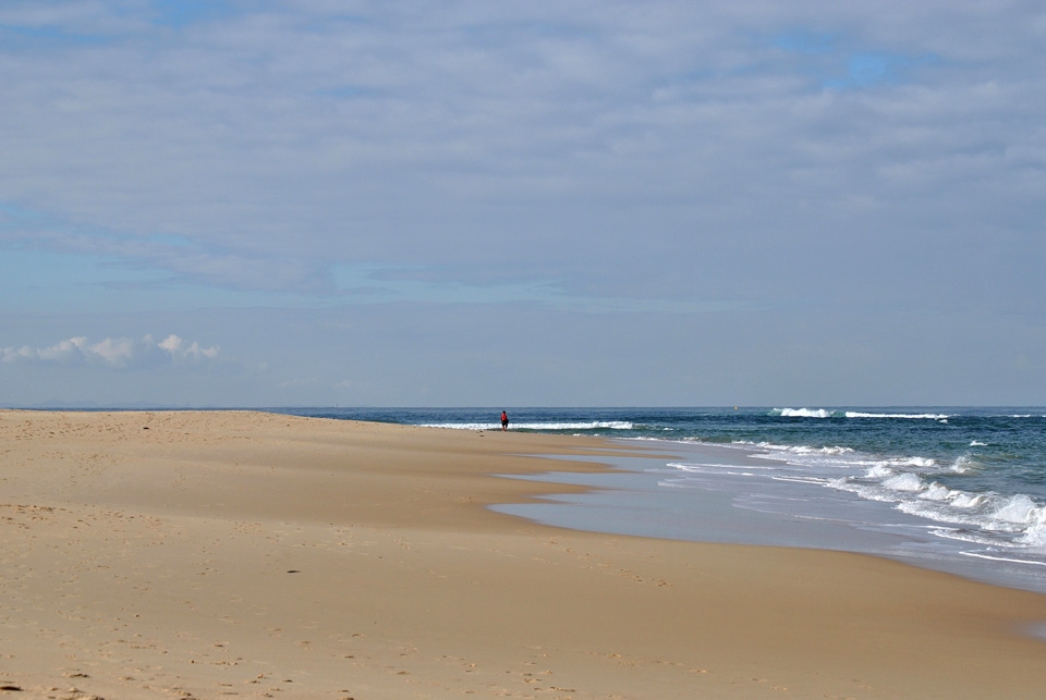 I'm only a very small piece of this puzzle