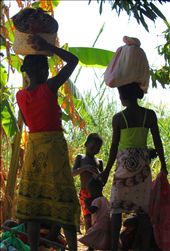 We stopped to make along the Tsiribihina river and these people were resting. They looked so much a part of their surroundings as the colour of their clothes reflected the foliage round them. The children came over to play with us and were content with simple games and their own curiosity.: by clare-lh, Views[387]