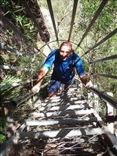 Crazy ladder climbing in the Blue Mountains thousands of feet above the valley floor: by clare-tamea, Views[1030]