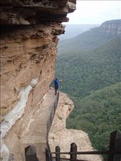 Walking the National Pass, Wentworth Falls, Blue Mountains: by clare-tamea, Views[1886]
