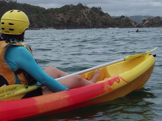 Kayaking with dolphins in Byron Bay