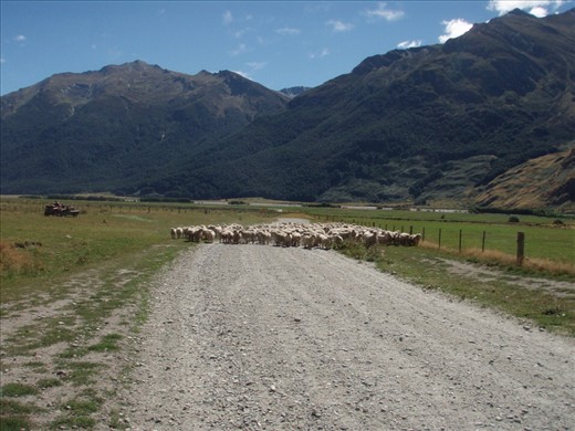 Road to Raspberry Creek