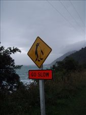 West Coast: by clare-tamea, Views[237]