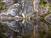 Rock reflection or giant spider?: by clare-tamea, Views[363]
