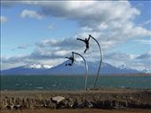 Flying people in Puerto Natales: by clare-tamea, Views[399]