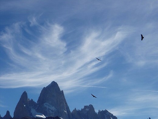 Condors at El Chalten (we saw 14 in an hour)