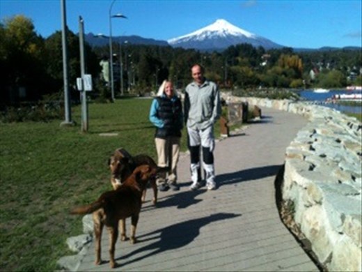 Making friends with Pucon's many street dogs
