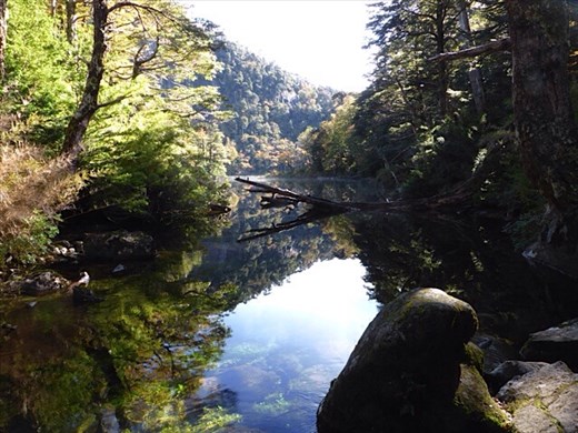 National Park Huerquehue, near Pucon