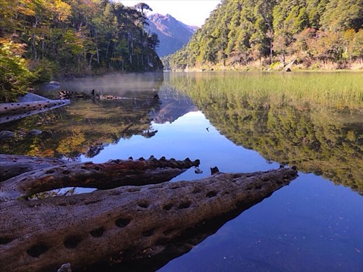 Beautiful reflections in national park Huerquehue