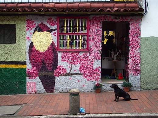 Bogota painted house