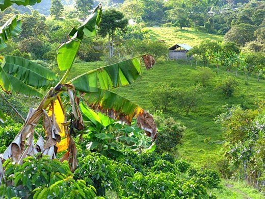 Tierredentro countryside