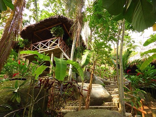 Our Eco-hostel near Tayrona