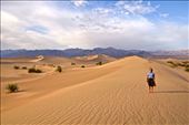 Death Valley Dunes: by clare-tamea, Views[268]