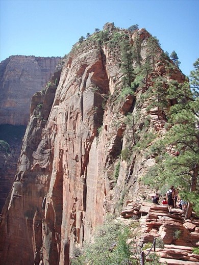 Angels' Landing walk, Zion - check out the sheer cliff top views!