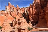 Weird and wonderful formations at Bryce: by clare-tamea, Views[577]